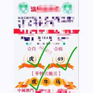 澳门精准资料正版大全,效能解答解释落实_游戏版121,127.12