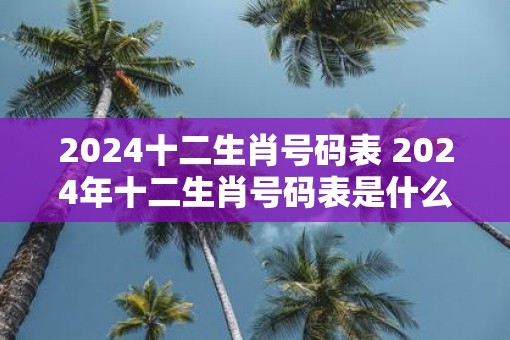 2024年澳门正版资料生肖表,最新热门解析实施_精英版121,127.13