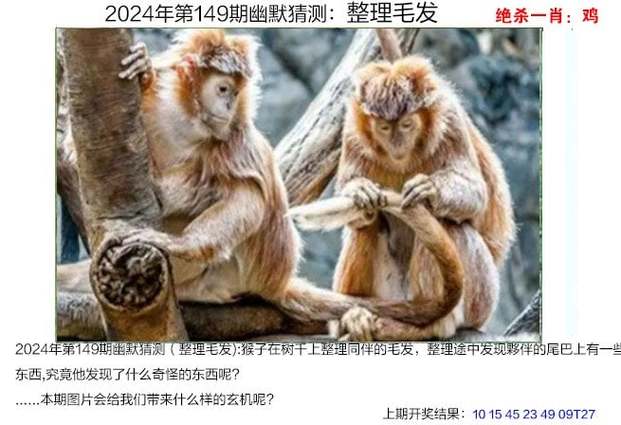 （2024年澳门天天开好彩最新版一句真言）